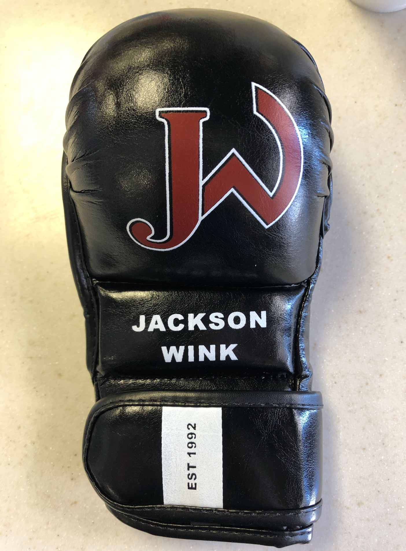 JW MMA Sparring Gloves